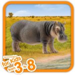 Ippopotamo - Schleich