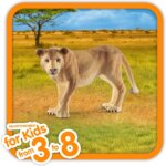 Leonessa - Schleich