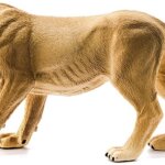 Leonessa - Schleich