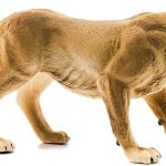 Leonessa - Schleich