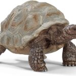 Tartaruga gigante - Schleich
