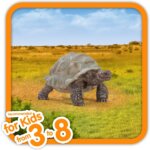Tartaruga gigante - Schleich