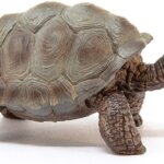 Tartaruga gigante - Schleich
