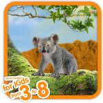 Koala - Schleich