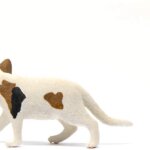 Gatto americano pelo corto - Schleich