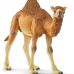 Dromedario - Schleich
