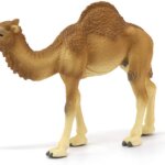 Dromedario - Schleich