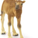 Dromedario - Schleich