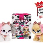 Present Pets Fancy - Agrusti