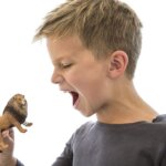 Leone che Ruggisce - Schleich