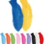 50 Piume Multicolor- Widmann