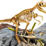 Super Kit T-Rex I m Genius - Lisciani