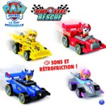 Veicoli Ready Race Rescue ass - Spin Master
