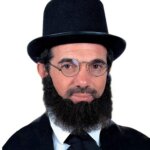 Barba Teatrale in Capelli Umani - Widmann