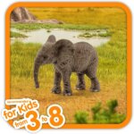 Cucciolo di Elefante Africano - Schleich