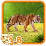 Tigre - Schleich