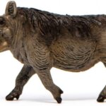 Facocero - Schleich