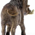 Facocero - Schleich