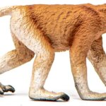 Nasica - Schleich