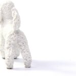 Barboncino - Schleich
