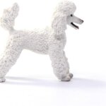 Barboncino - Schleich