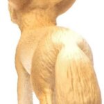 Volpe del Deserto -Schleich