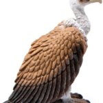 Avvoltoio - Schleich
