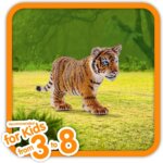 Cucciolo Di Tigre -Schleich
