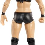 Brie Bella WWE - Mattel
