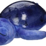 Tranquil Turtle Ocean - Cloud B