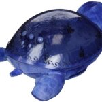 Tranquil Turtle Ocean - Cloud B
