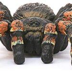 Tarantola - Schleich
