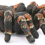 Tarantola - Schleich
