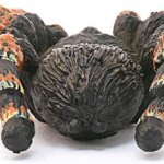 Tarantola - Schleich