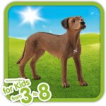 Cane Rhodesian Ridgeback - Schleich
