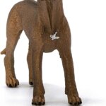 Cane Rhodesian Ridgeback - Schleich