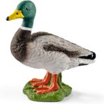 Maschio di Anatra -Schleich
