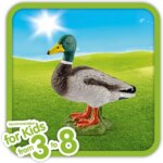 Maschio di Anatra -Schleich