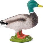 Maschio di Anatra -Schleich