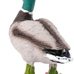 Maschio di Anatra -Schleich