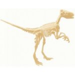 Kit T-Rex Archeologo- Old Toys
