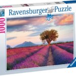 1000 pz Campi di Lavanda - Ravensburger