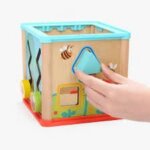 Activity Cube 5 in 1 - Borella