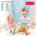 Activity Cube 5 in 1 - Borella