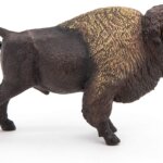 Bufalo Americano - Papo