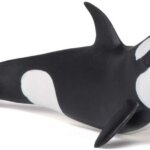 Orca - Papo