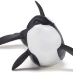 Orca - Papo