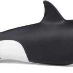 Orca - Papo
