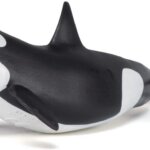 Orca - Papo