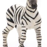 Zebra - Papo